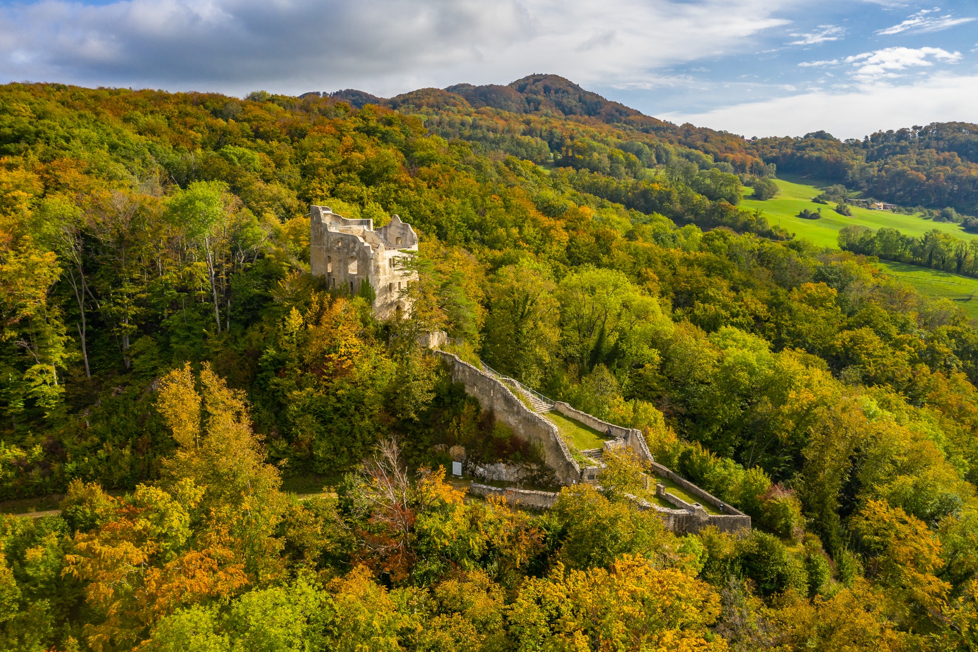 Burgruine Homburg aus der Luft, umgeben vom Wald über Läufelfingen